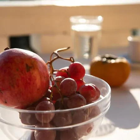 Dimitra ベニテス